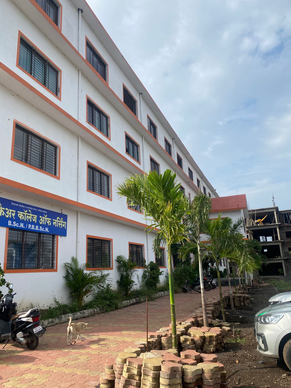 College fest and celebrations