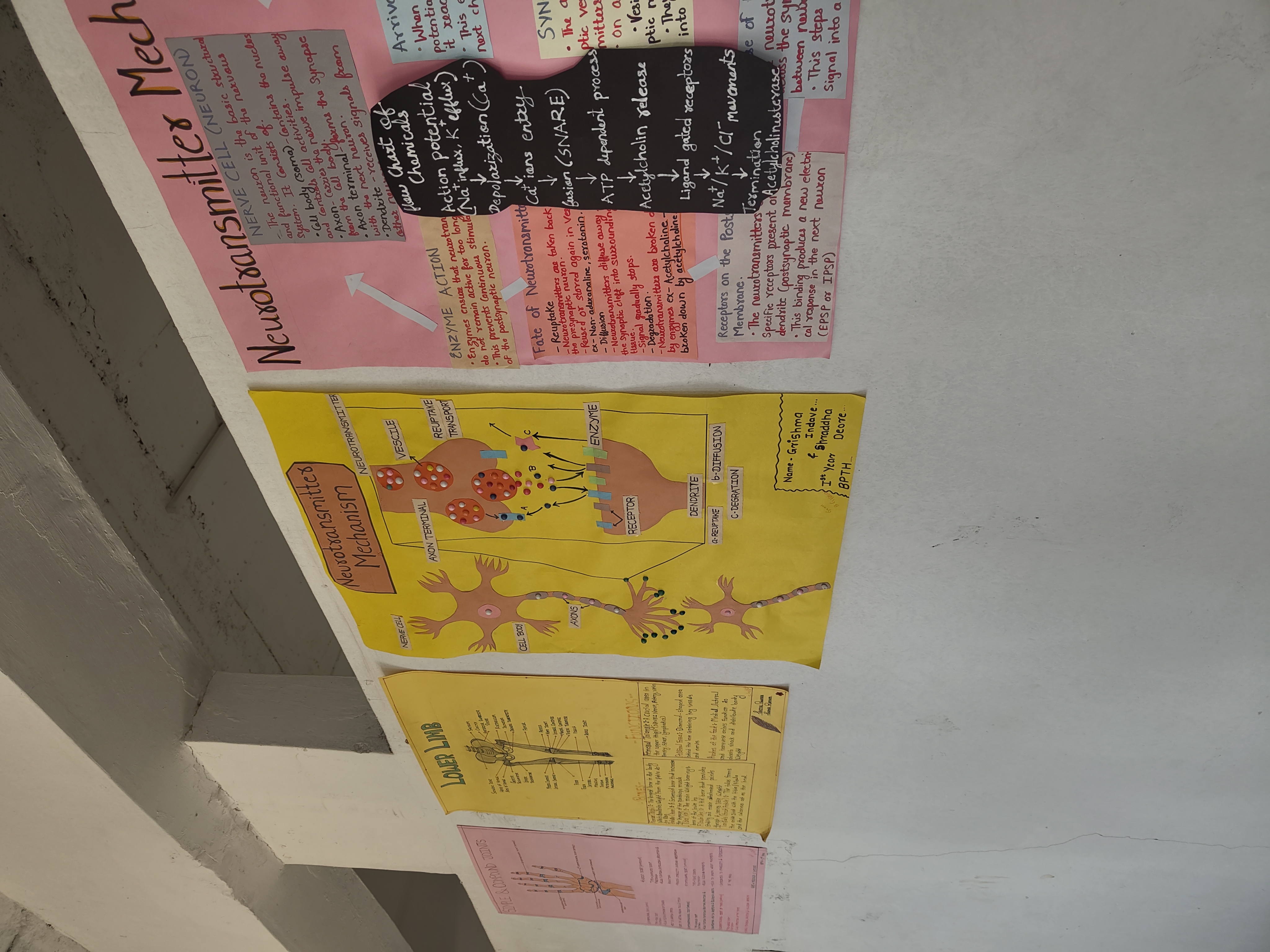 Campus & College Building - Photo 4